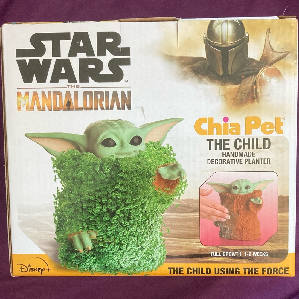 Mandalorian The Child Grogu Chia Pet NEEDS NEW SEEDS